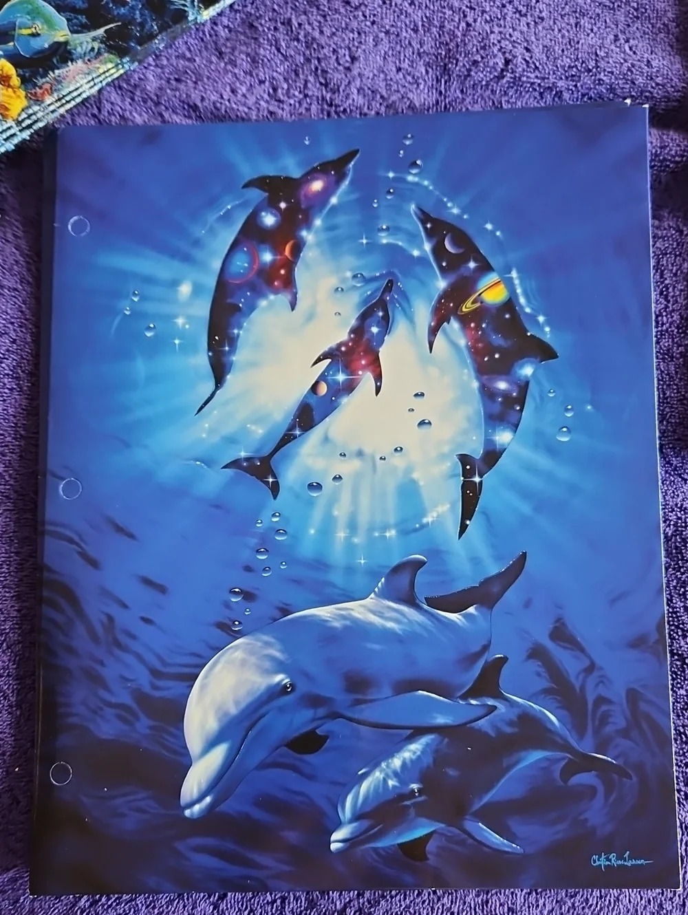 Source Unknown dolphins puppies